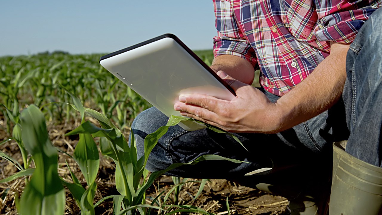 Farmer kneeling in field with tablet